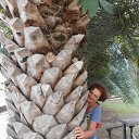 �����, ������� �� ������� ���� ����������