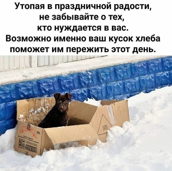 Напоминание о том, как важно быть людьми и помогать братьям нашим меньшим, которые не могут сами о ...