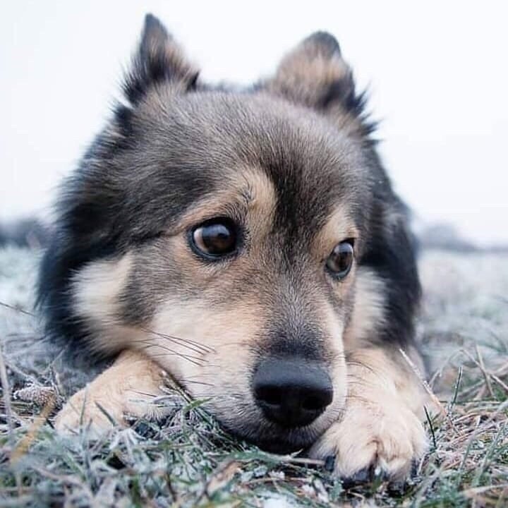  e ep a,  po  e .  o p  .     ... - 7