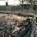 ���� ������ 234, ������ - ��������� 4 ������� 2020 � ������ ���� �������������