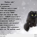 ���� �������, �����-��������� - ��������� 11 �������� 2020 � ������ ������ ��������