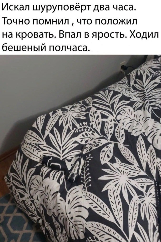 ������������ ��������