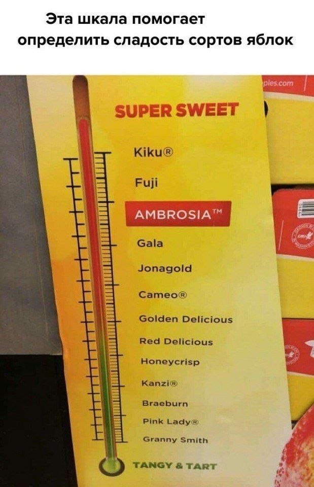    - 3