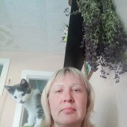 �����, �����������, 54 ����