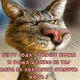 ������, ������, 71 ���