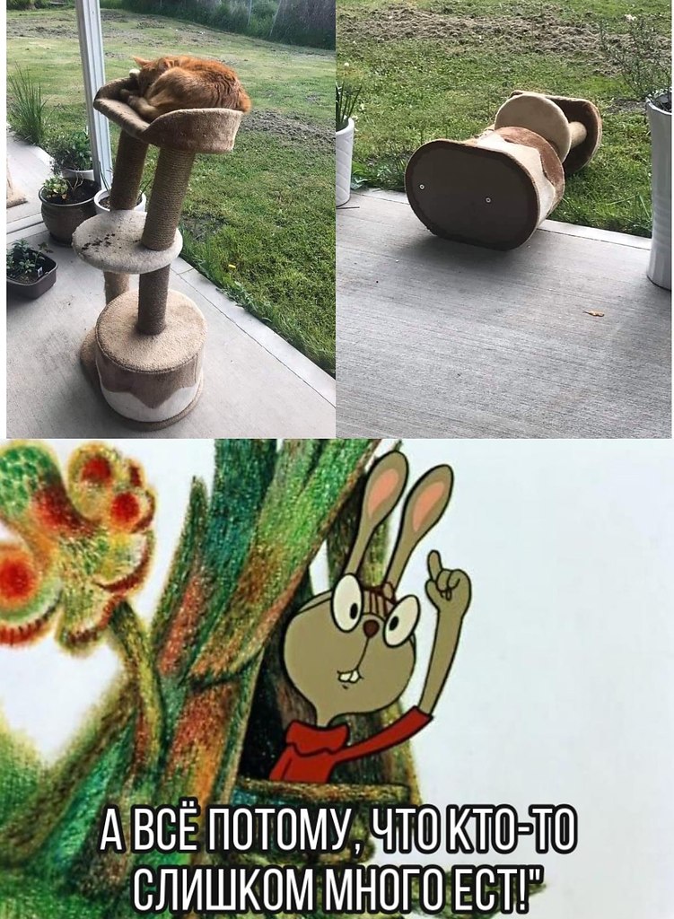 ������ - 7 ������� 2020 � 05:16