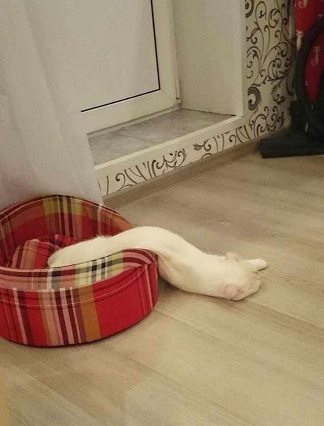    ?      240 ,      ... - 4