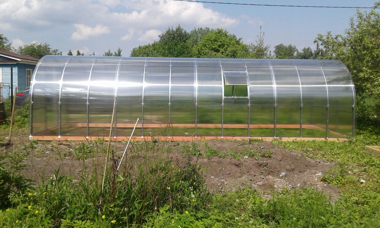   - 25  2020  08:36