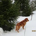 ���� ������� ������... (�) �� ������� ������ � ������ ������...�