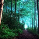 ���� �, ������ - ��������� 8 ������ 2020 � ������ ���� ����������