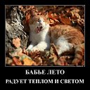 ���� �����, ���������, 41 ��� - ��������� 23 �������� 2020 � ������ ������ ��������