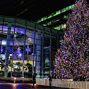 ���� �����, ����, 40 ��� - ��������� 25 ������� 2020 � ������ ����� 2020 (������ 3.12.2020, 1:26)�
