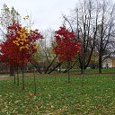 ���� Alexander, �����-���������, 70 ��� - ��������� 4 ������ 2020 � ������ ������ ��������