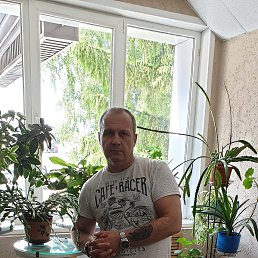 �������, ������, 61 ���