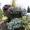 ���� ���, ������, 47 ��� - ��������� 16 ������� 2020 � ������ �������