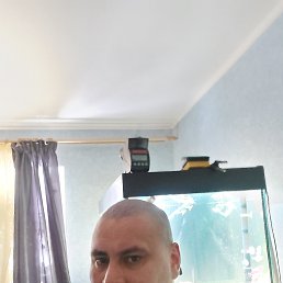 ���� �����, ������, 51 ��� - ��������� 28 ������ 2021