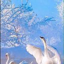 ���� ������ ����� �����,��� �����!, ������ - ��������� 25 ������� 2020 � ������ ���� ����������