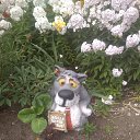 ���� �������, �����-��������� - ��������� 23 ������� 2020 � ������ ���� ����������