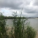 � ������ �� ������� �������� ����������� �� �����-������������� ��������� ������ 2020�