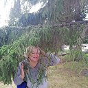 ���� �������, ������������, 49 ��� - ��������� 12 ������� 2020 � ������ �����