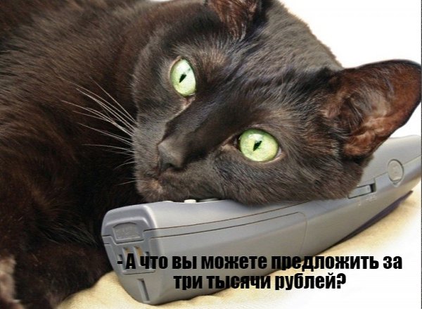       - 13  2020  14:49 - 3