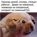 ���� �����, ������ ��������, 45 ��� - ��������� 24 ������ 2020