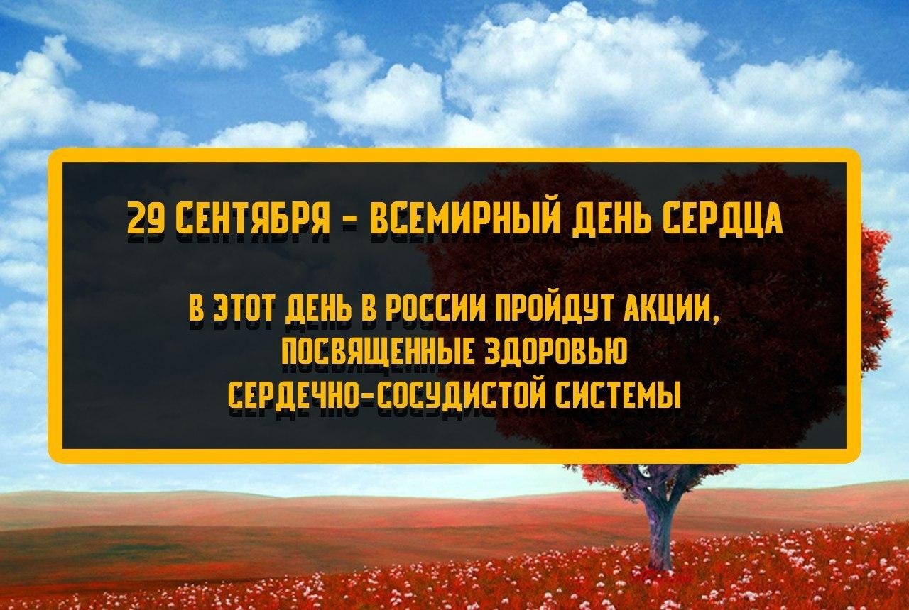 ������ ������� ������ | ����������� - 29 �������� 2020 � 19:10