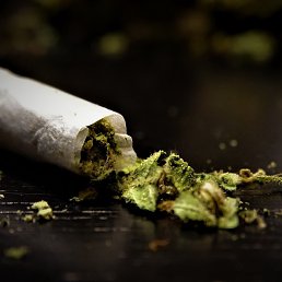 �����))), ������, 37 ���