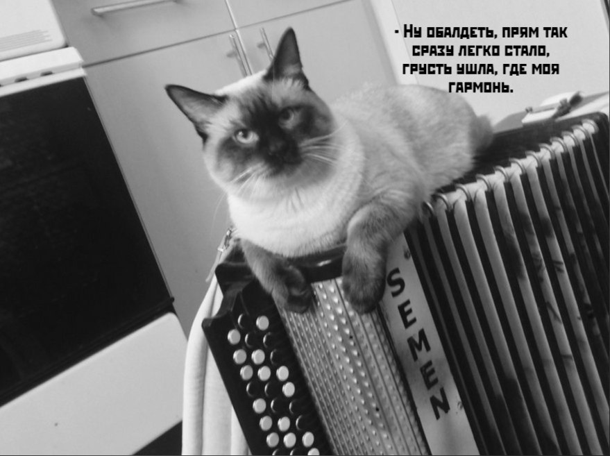       - 13  2021  19:37 - 4