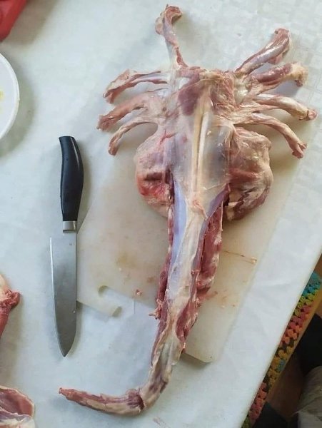 Когда мясо само решает, будешь ты его есть или нет)  - 2