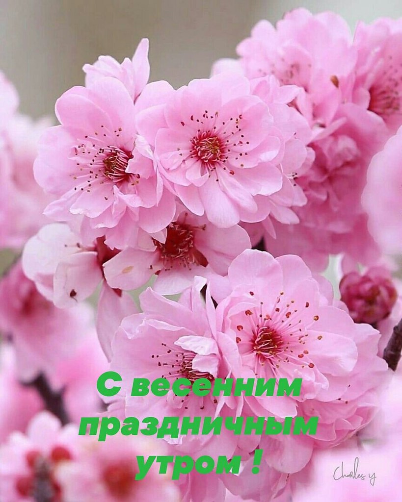   ,    . - 7  2021  23:41 - 8