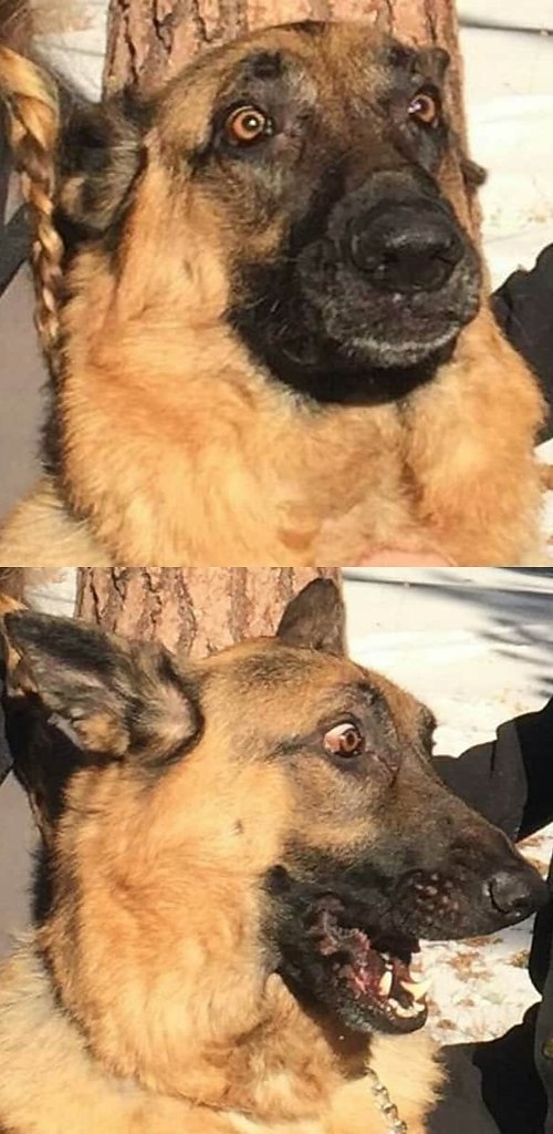     .        .   . - 2