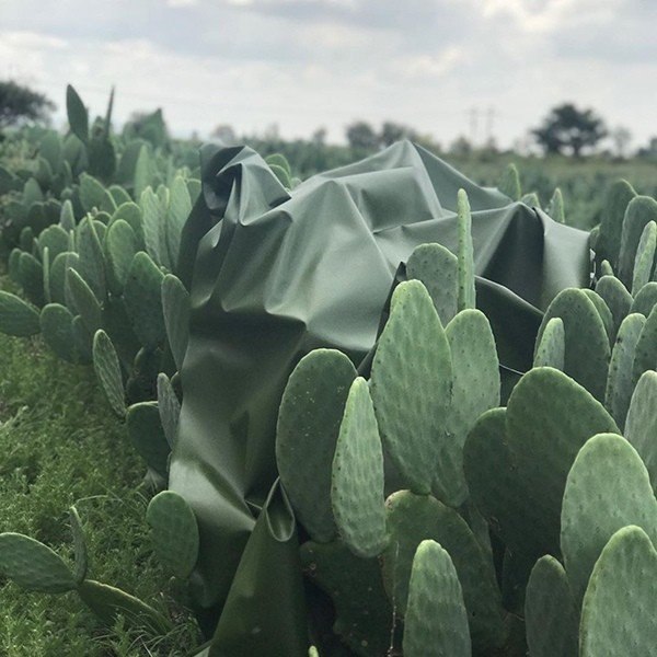 ���� �� ����p���������� �������, ����p�� �� �������� �� �p������� ��c������. �� �� ���� �����, ... - 2