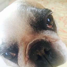 ����� �����, ������, 56 ���