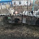 ���� �����, �������, 52 ���� - ��������� 21 ������� 2020 � ������ ���� ����������