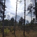 ���� ������ 234, ������ - ��������� 4 ������� 2020 � ������ ���� �������������