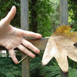 ���� �������, ������ ��������, 50 ��� - ��������� 23 ������� 2021