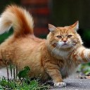 ���� �����, ������, 37 ��� - ��������� 13 ����� 2021 � ������ ������ ��������