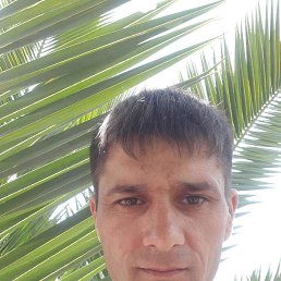 ����, ���������, 42 ����