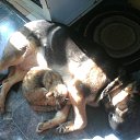 ���� ���������, ����, 61 ��� - ��������� 20 ������� 2020 � ������ ���� ����������