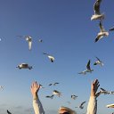 ���� ����������, ������, 57 ��� - ��������� 3 ������ 2020 � ������ ���� ����������