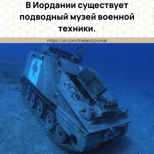 Он находится в портовом городе Акаба. a днo Красного моря, на глубину 30 метров, погрузили 19 единиц ...