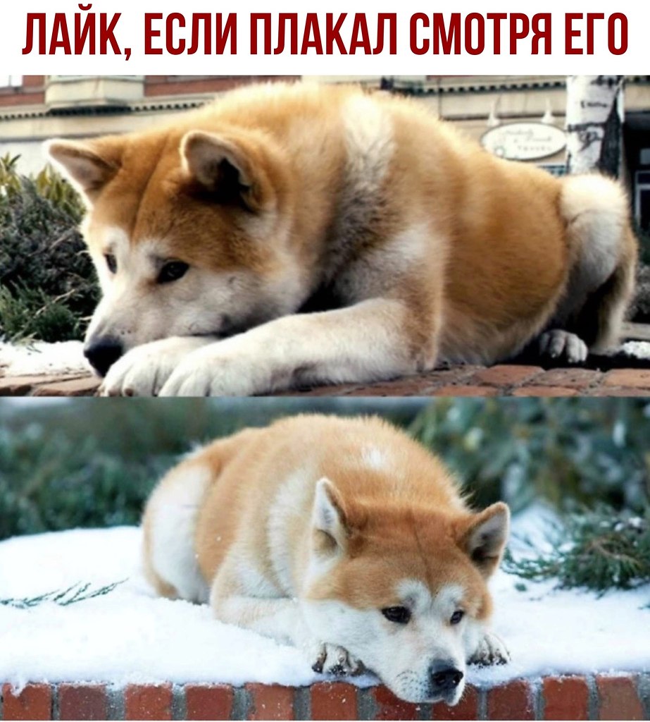 ������ - 8 ������� 2020 � 18:41