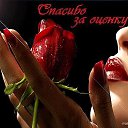 ���� �������, ������ - ��������� 29 ������� 2020 � ������ ���� ���� ������