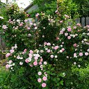 ���� E��������, ������, 43 ���� - ��������� 26 ������� 2020 � ������ ������ ��������