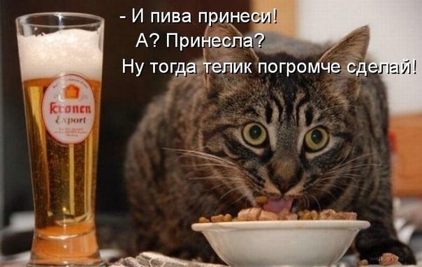    - 22  2021  11:29