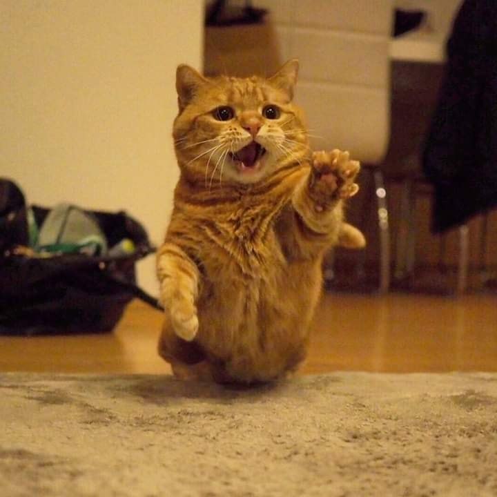 ,    ,  ,     
