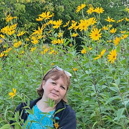 ���� ��������, �����������, 53 ���� - ��������� 2 �������� 2020