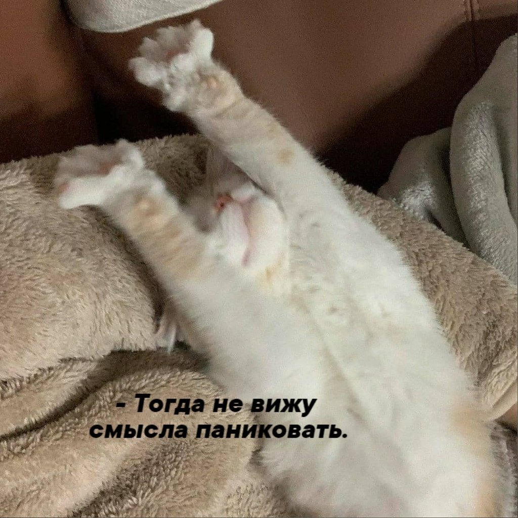       - 20  2021  16:07 - 3