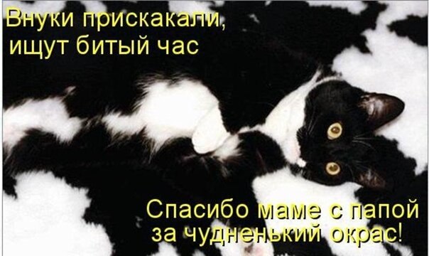    - 3  2021  11:44